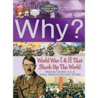 Image of Why? World War I & II That Shook Up The World